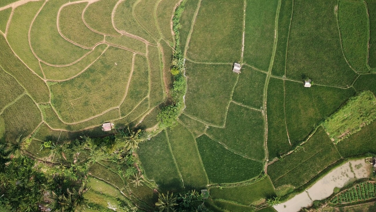 Nueva obligación en Huella de Carbono en 2027: ¿te aplica?
